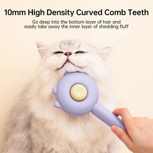 Cat Brush