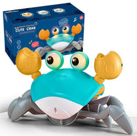 Kelly Crab (Blue)